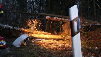 Bad Saulgau: Baeume auf Strasse - Feuerwehrmann schwer verletzt bei Bergearbeiten 